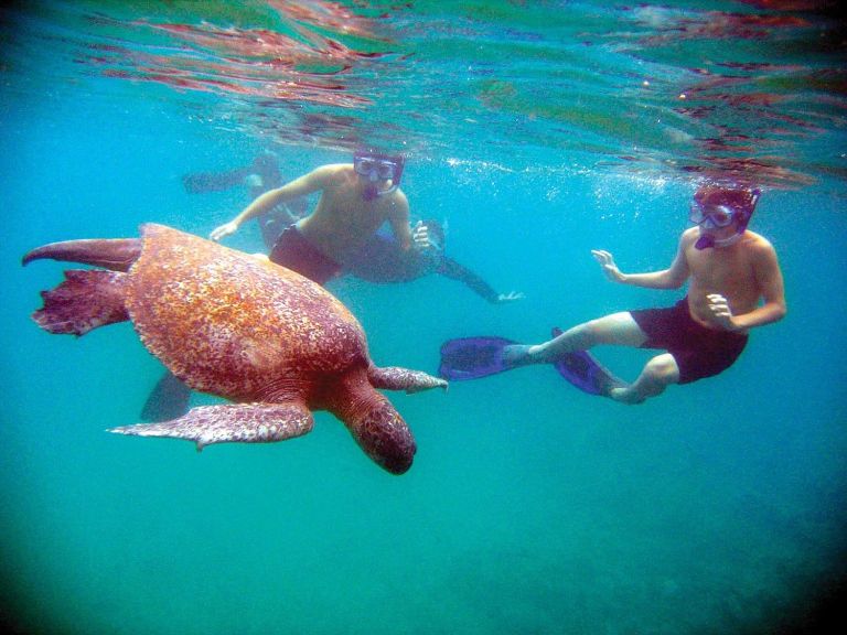 Lindblad Expeditions-National Geo offers late summer Galapagos trips Lindblad Expeditions-National Geo offers late summer Galapagos trips