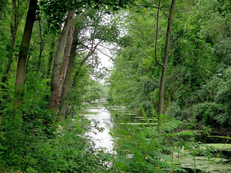 Going Places, Near & Far: Cycle the Erie