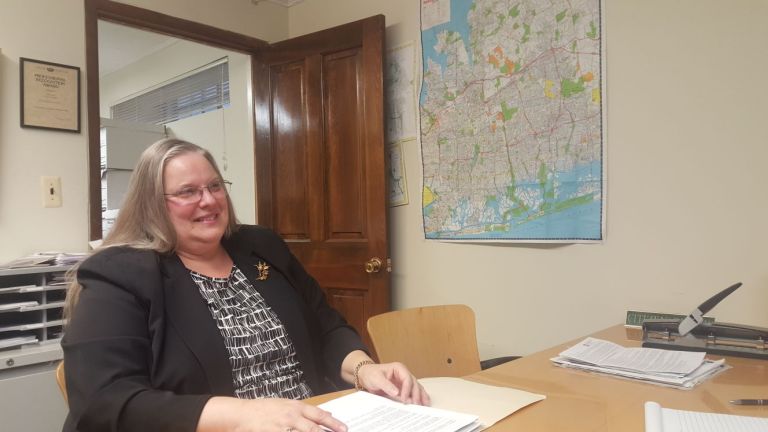 Green Party candidate Lems says Legislature needs new ideas Green Party candidate Lems says Legislature needs new ideas