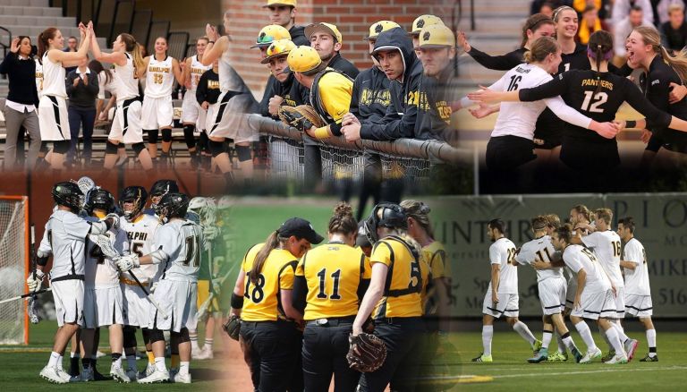 Adelphi teams excel on, off field during fall semester Adelphi teams excel on, off field during fall semester