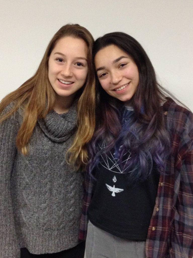 East Williston school board does it by the book