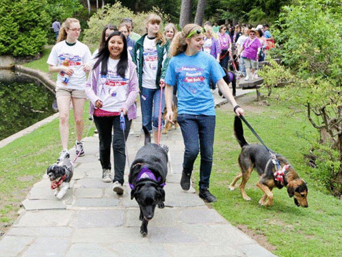 Bark for Life event to be held in Port Bark for Life event to be held in Port