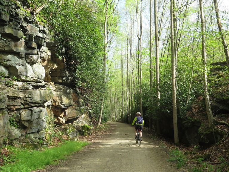 Going Places, Near & Far: Great Allegheny Passage Bike Tour Side Trip Brings Surprise Encounter with TrumpWorld