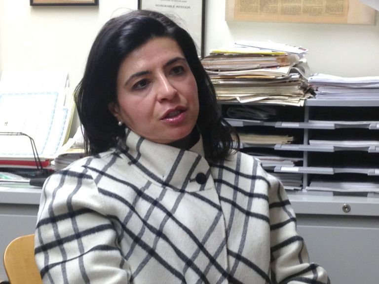 Anna Kaplan touts life experience in Congress run