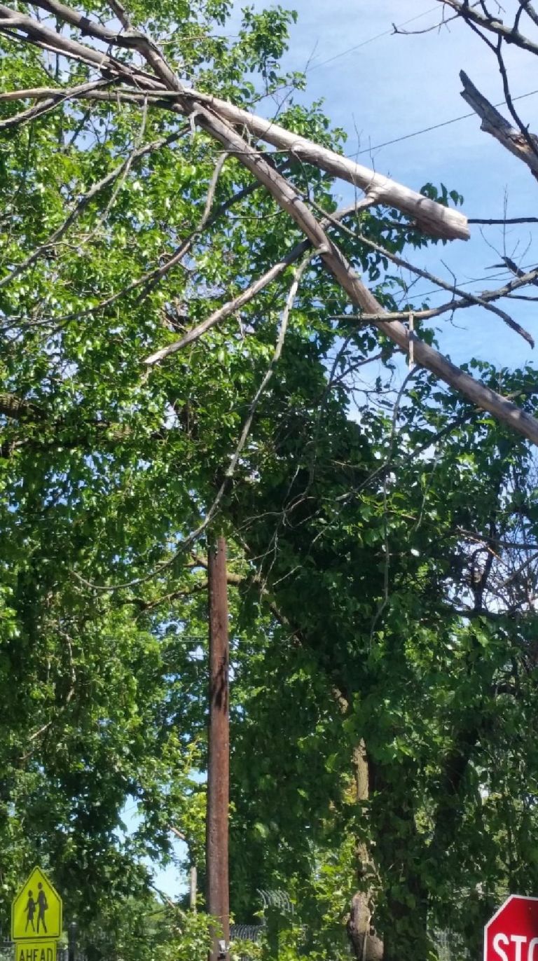 Loose tree limb removed after call by civic group Loose tree limb removed after call by civic group