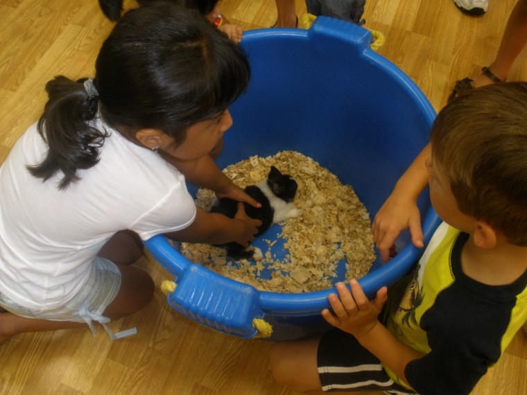 Critters help bring reading program alive for kids Critters help bring reading program alive for kids