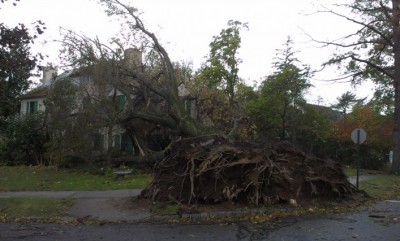 Hurricane Sandy slams Great Neck