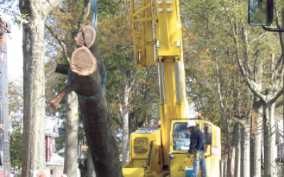 North Shore cleans up after Hurricane Sandy