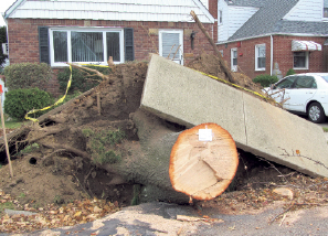 NHP still digging out from storms