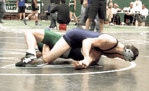 Herricks matmen to host tourney