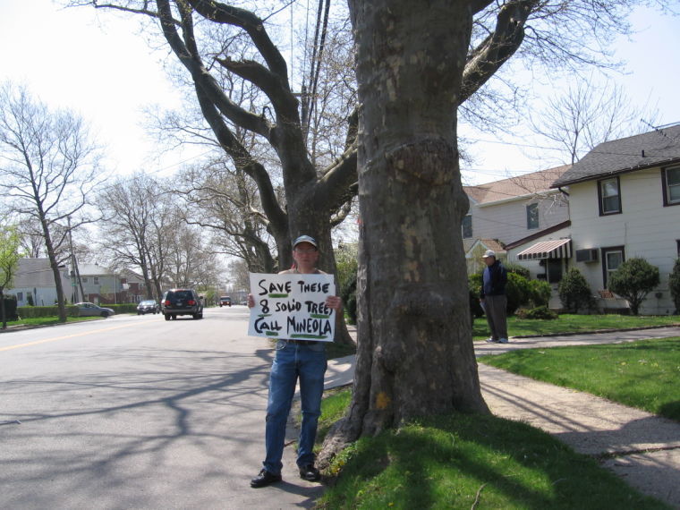 Activist slows village’s tree removal plan