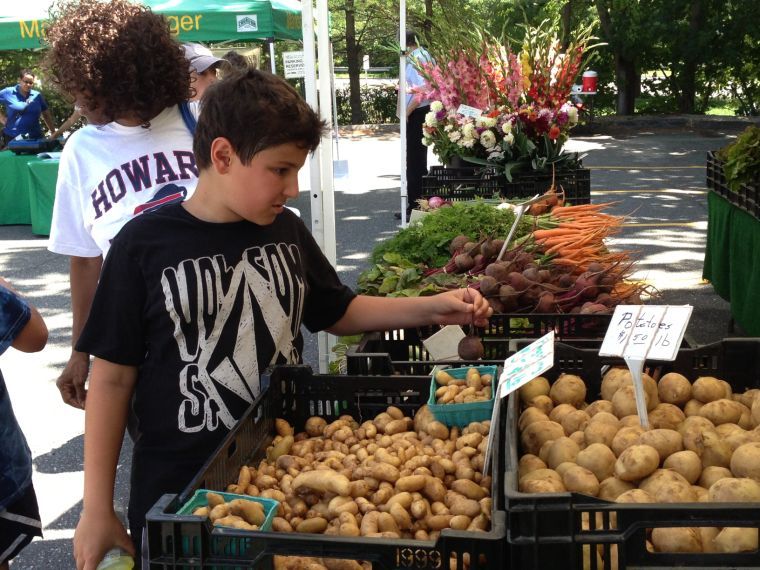 Farmers market opens in Great Neck