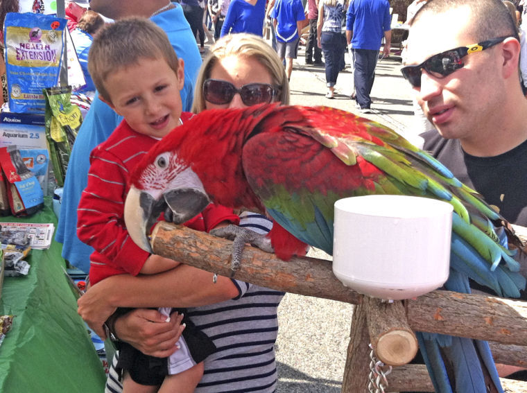 Williston Day Street Fair ‘a huge success’