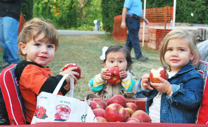 Family harvest fest draws visitors large, small