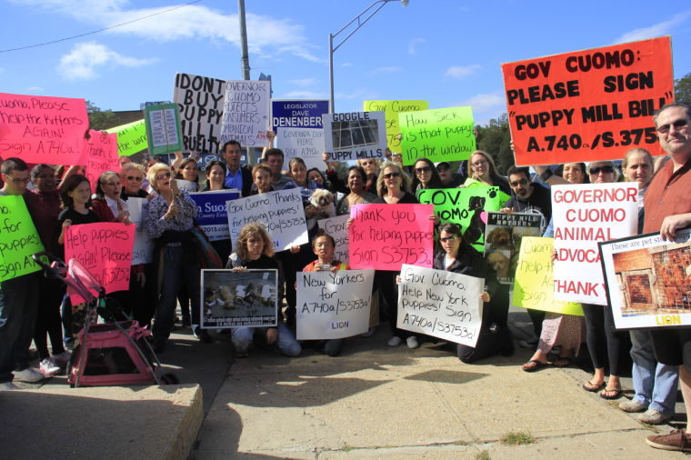 LION protest urges Cuomo to pass pet bill