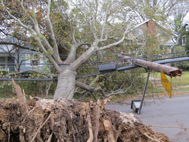 Town response to Sandy continues