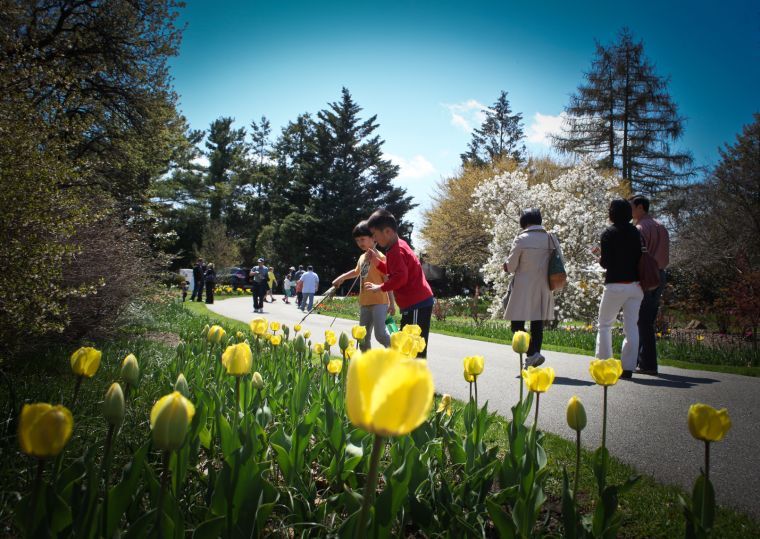 Clark Botanic concert series to begin July 15 Clark Botanic concert series to begin July 15