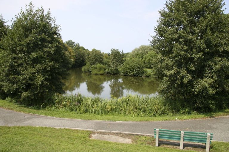 Town to begin Whitney Pond Park repairs Town to begin Whitney Pond Park repairs