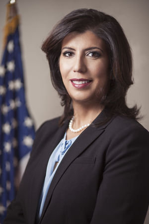 North Hempstead Dems endorse Singas