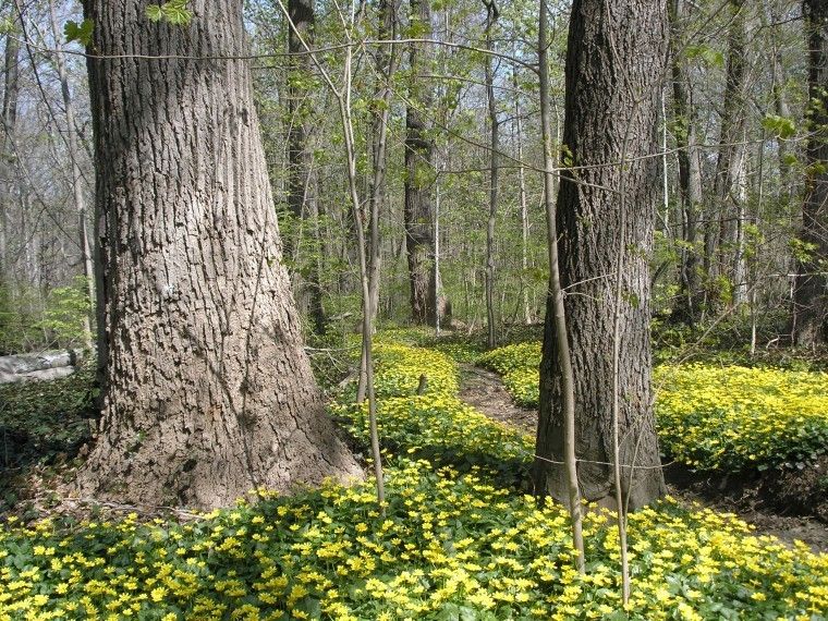 Village of Kings Point urges residents to sign parkland petition Village of Kings Point urges residents to sign parkland petition