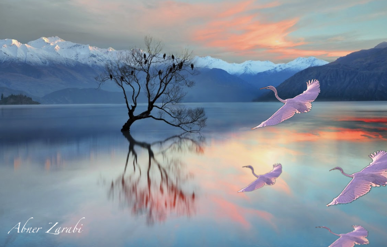 Roslyn photographer finds passion in Photoshop