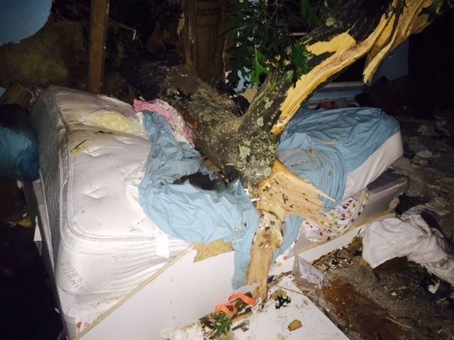 Great Neck woman hospitalized after tree falls through bedroom Great Neck woman hospitalized after tree falls through bedroom
