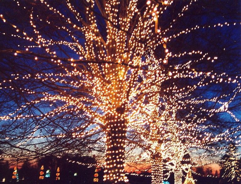 Going Places, Near & Far: Favorite Places for Family Winter Holidays