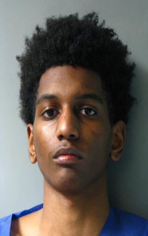 Man arrested in New Hyde Park after chase: cops Man arrested in New Hyde Park after chase: cops