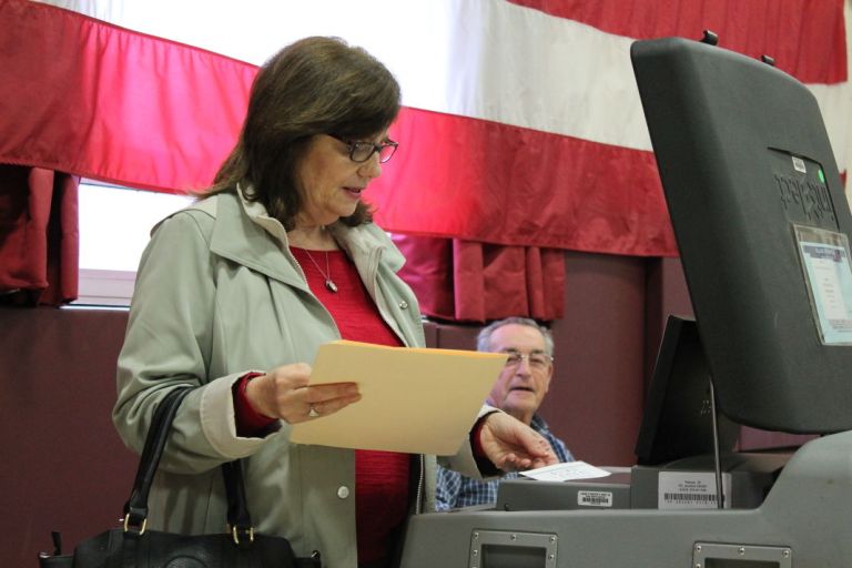 Mineola votes yes to village developments