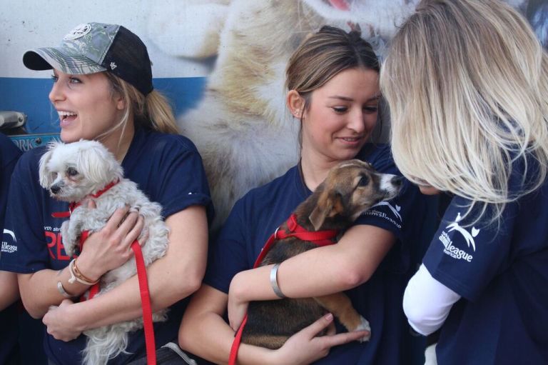 North Shore Animal League America rescues more than 75 dogs