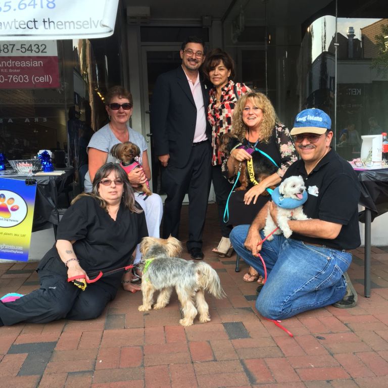 Dog adoption groups hit Great Neck Plaza promenade