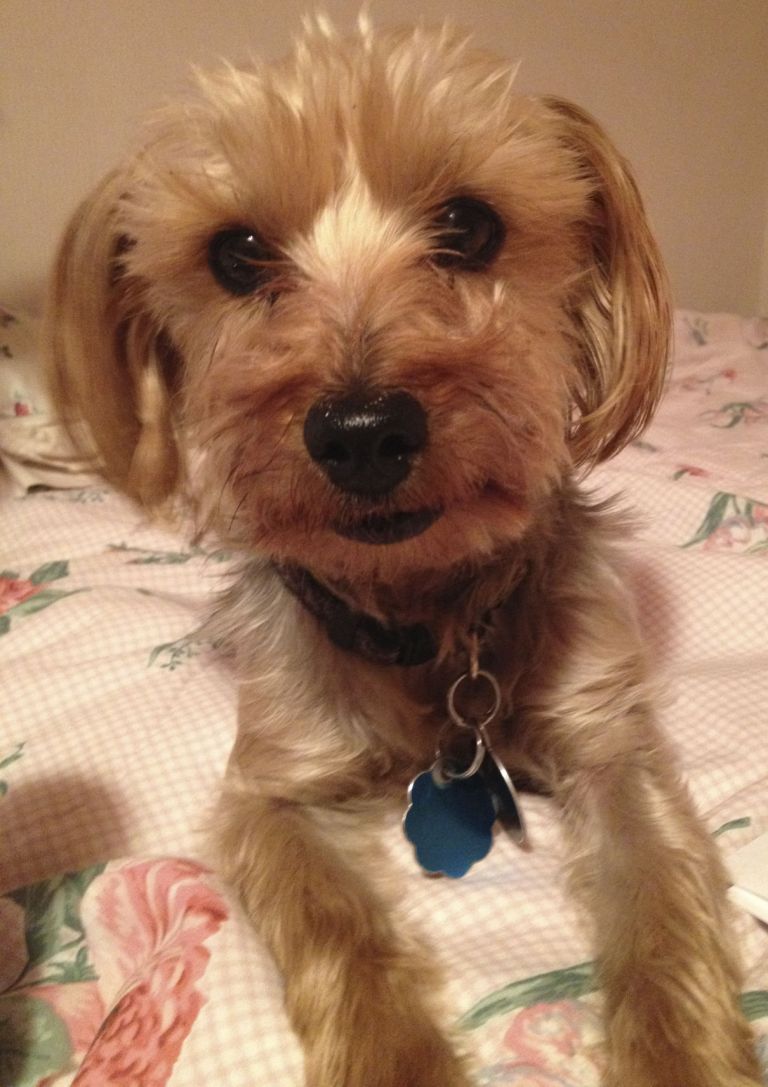 Readers Write: Losing my best friend suddenly, senselessly