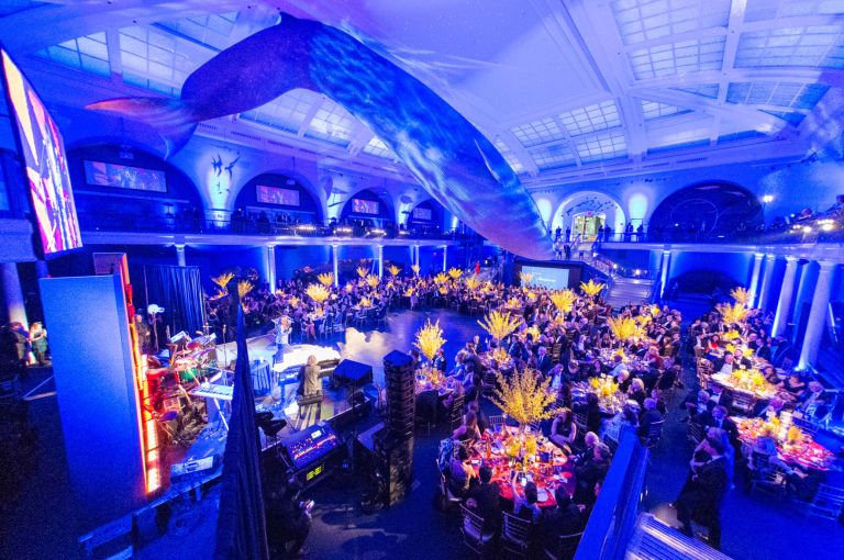 Northwell gala raises $3M