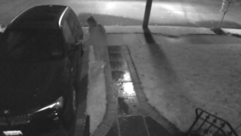 Floral Park cops seek flasher, car thief Floral Park cops seek flasher, car thief