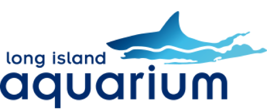 How Climate Change Will  Affect Fish and Fisheries