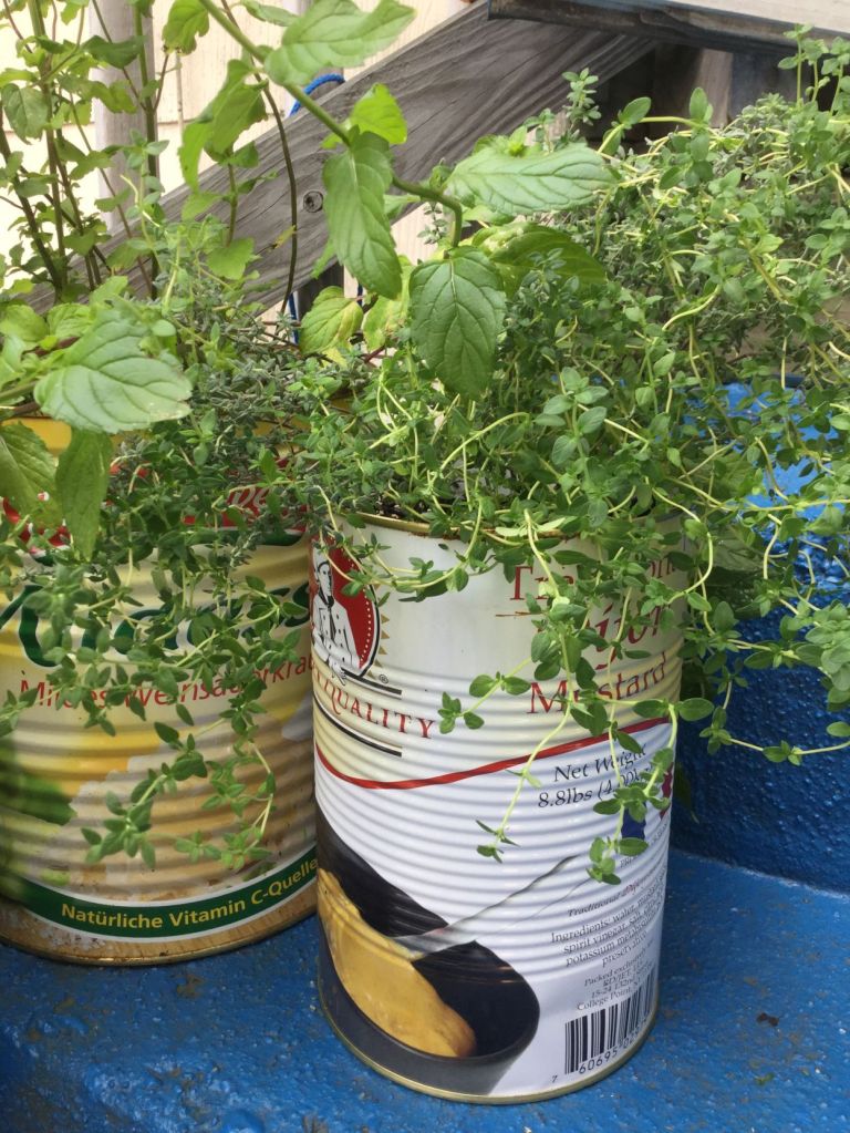 Reusing Tin Cans
