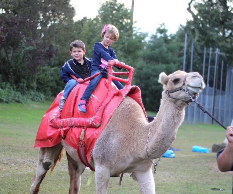 Annual Rotary circus brings smiles and laughs