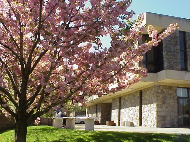 Great Neck Library’s Main Building reopens after two-year renovation