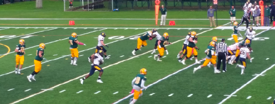 LIU Post steamrolls way to 10-0