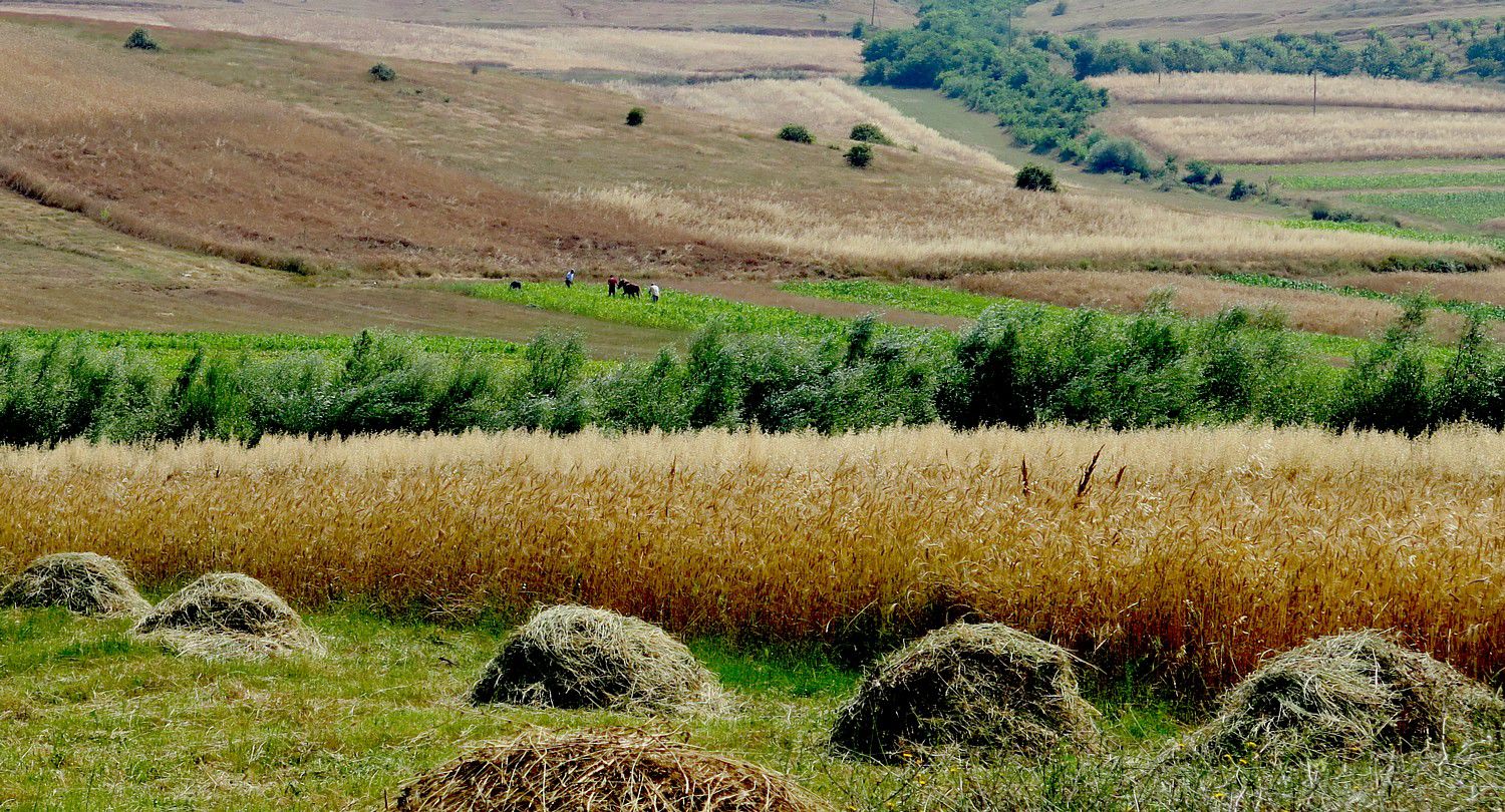 

<p>Biking down rural roads in Albania’s “breadbasket” © 2016 Karen Rubin/goingplacesfarandnear.com</p><div class=
