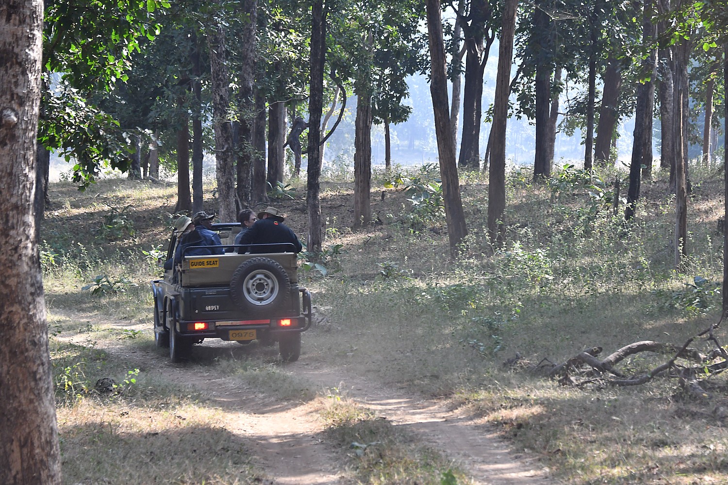 Pench National Park, India
