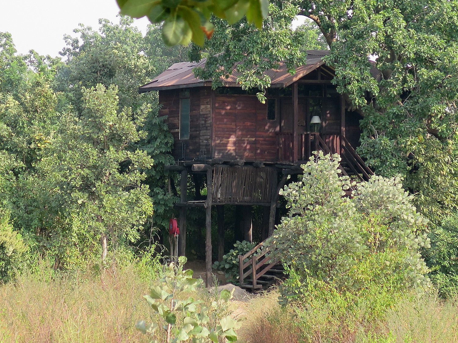 India_20161106_0067e2 (c) Karen Rubin-Pench Tree Lodge