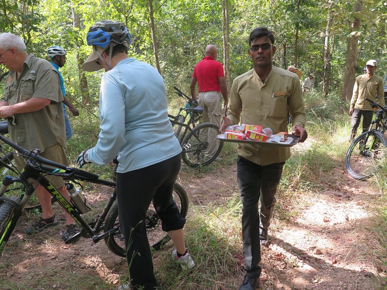 Going Places, Near & Far: “Jungle Book” cycling adventure into Tiger Territory of India