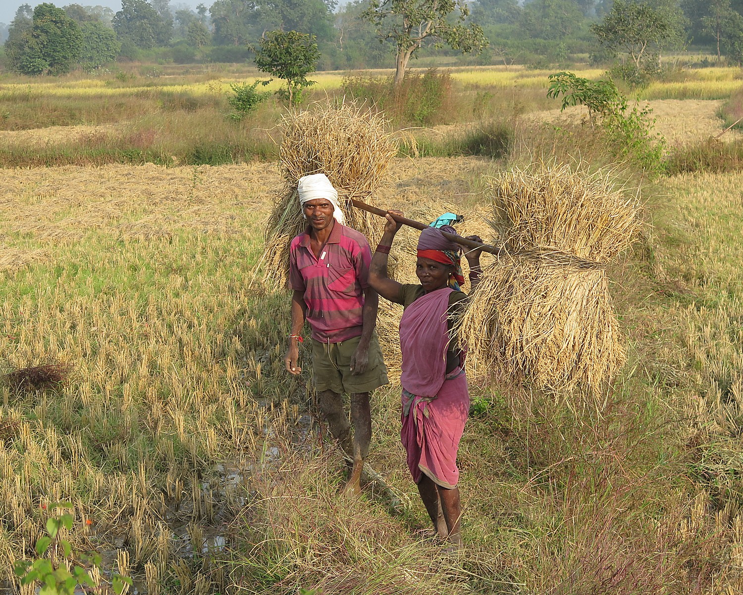 India_20161110_0796e2 (c) Karen Rubin-cycling Kahna