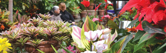 Planting Fields to hold gardens fest on Jan. 15 Planting Fields to hold gardens fest on Jan. 15