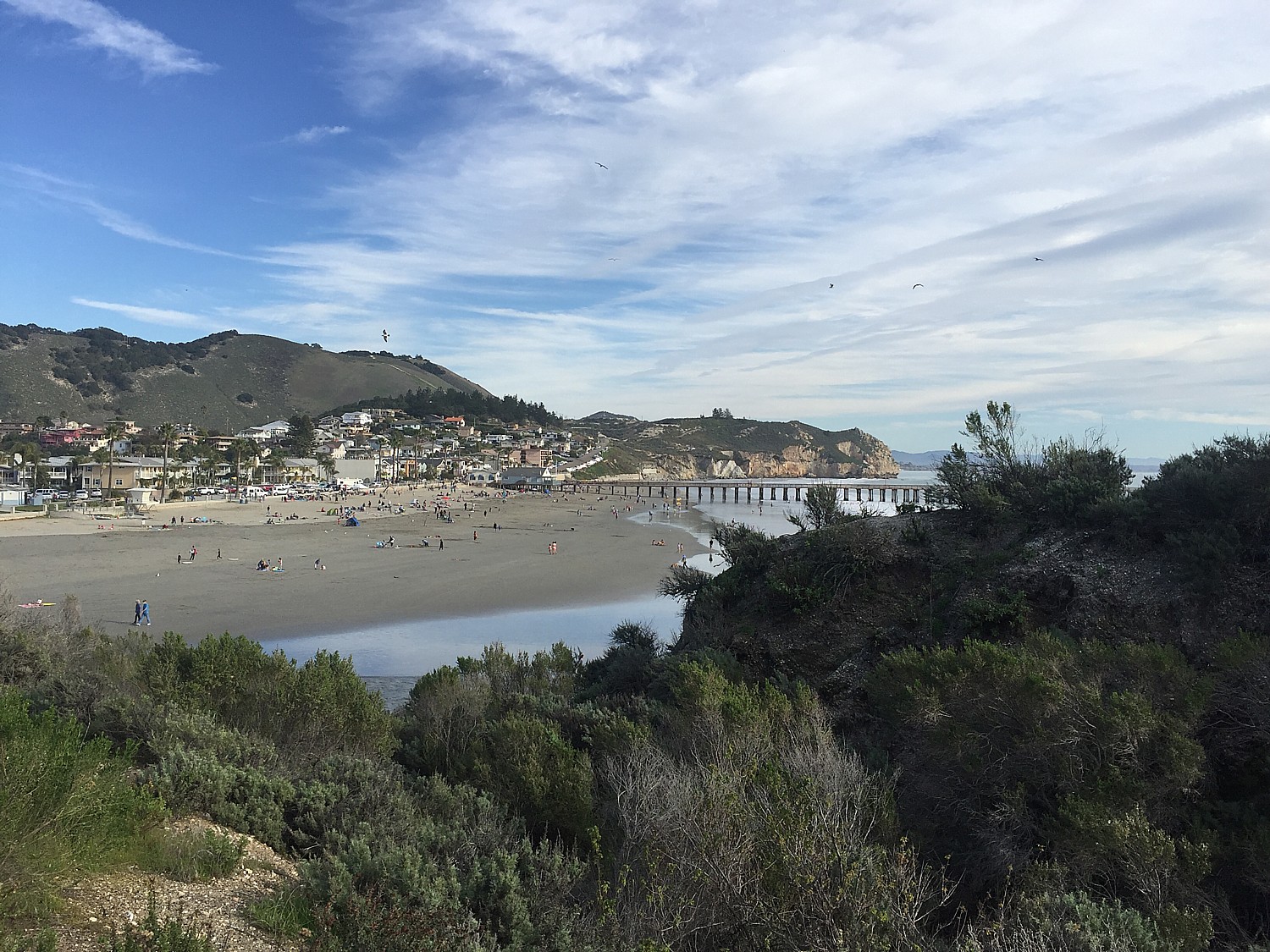 CA-Hghwy1_1094e2-AvilaBch-DL