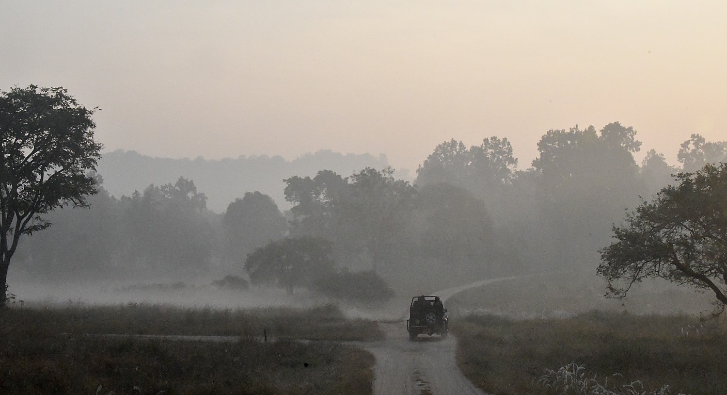 India_111116_2627ea2 (c) Karen Rubin-Kahna sunrise