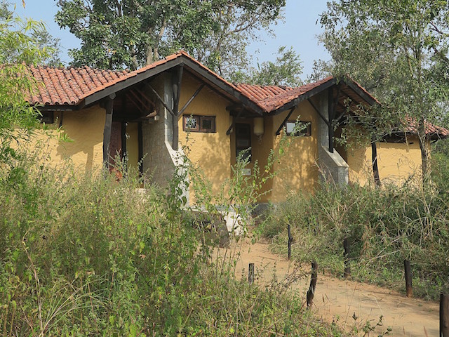 India_20161110_0718e2 (c) Karen Rubin-Kanha Earth Lodge