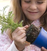 Kids-Planting-158x169