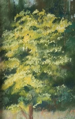 Terminal cancer cannot stop artist from holding exhibition